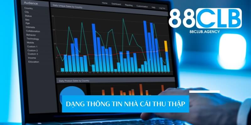 Tổng hợp dữ liệu quan trọng